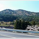 저구망산등산로 이미지