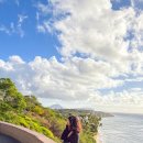 일주농장 | 하와이 렌트카 없이 여행 가볼만한곳 오하우섬 일주 일일 가이드 투어 예약 아울렛 쇼핑 포함