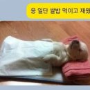 야끼니꾸바