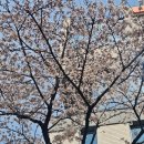 까치공원 이미지