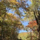 황둔황토마을 이미지