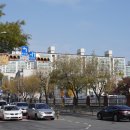 양지공인중개사사무소 이미지