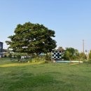 내마음바다죠 이미지