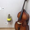 금배농장 | [러쉬팩토리 텍폴점]온더사이드+라이언금배송후기