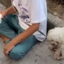 댕댕냥냥 이미지