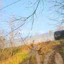 도덕면사무소 이미지