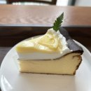 [이대역 케이크] 오와케이크 이대직영점- 바스크 치즈 케익 맛집
