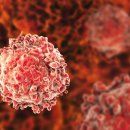 메디움강남요양병원 이미지