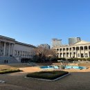 마두마두약국 | 마두역 약국 추천 BEST 6곳, 열린 약국, 토요일, 일요일, 공휴일, 심야