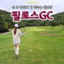 필로스골프클럽 | 뷔페 식사 제공하는 포천 골프장 필로스GC 야간 노캐디 라운드 후기(필로스CC)