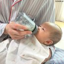 그린맘 | 신생아 젖병 추천, 그린맘 배앓이 예방 젖병 솔직후기