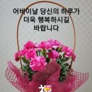 🍒5월 8일 수요일 간추린 아침뉴스입니다 이미지