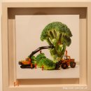 두솔농장 이미지