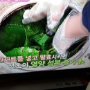 천연발효식초,떠먹는식초 비법/엄지의제왕/기치유센터/기공치료/기수련/자연요법/대체의학/힐링스테이 이미지