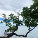 저두 선착장 공중화장실 | 괌 가족여행 남부 투어 추천 코스 및 화장실 유무