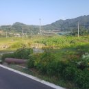 KTX평창부동산공인중개사사무소 이미지
