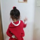 후드솔로몬