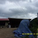 동강나루 이미지