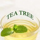 차마시기 이미지