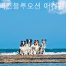 블루오션펜션 이미지