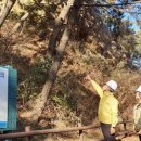 김영일 사무소 이미지