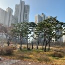 중랑구 자원재활용 선별센타 이미지