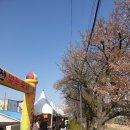 발안천 산책로 이미지