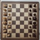 창의 사고 보드&체스 | 초등학생 체스 입문용 체스 세트 비교 팁｜데이닷 소나무 자석 체스 사용 후기