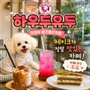 이평로4번길 46 앞 | 의정부 애견동반 카페, 하우두유두 솔직후기 (주차, 메뉴, 반려견 실내 동반)