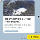 운장산자연휴양림 | [전북 진안] 눈 오는 겨울, 국립운장산자연휴양림