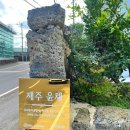 제주윤채 이미지