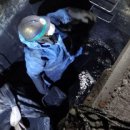 비를라카본코리아노동조합 이미지