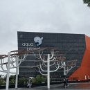 아쿠아플라넷 여수 | [여수]아쿠아플라넷 여수 후기/이색 데이트