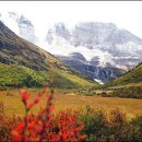 샹그릴라 이미지