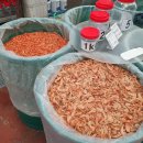 진도종합수산 이미지