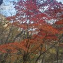 ＜173차＞2025년 11월 1일 (토) 첫째주 &#39;대한민국 단풍1번지 설악산 흘림골,주전골&#39; 단풍산행 이미지