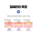 골든발란스의원