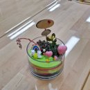 정화어린이집 | 파주 운정 월롱 원예키트] 초등학교 유치원 어린이집 식목일 행사: 이오난사, 다육 테라리움 배송 후기