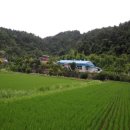 산호동313 이미지