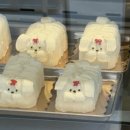 지-크루PC 이미지