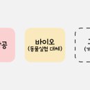 엠에스에스지