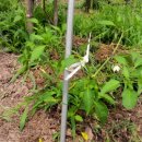 혁이네농장 이미지