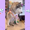 오구오구내새끼