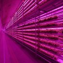 넥스트온 이미지