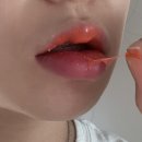 안지워지는립스틱 모리채 립타투 러블리피치 후기
