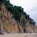 예곡리_마을진입로_004 | 한국의 지질노두 - 왜목 선캠브리아기 규암/편암[ Precambrian quartzite/schist at Waemok, Dangjin ]