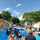 봄날의 댕댕이 | 🐶 포천 애견동반 캠핑장 TOP 5 : 댕댕이와 떠나는 힐링 여행 BEST 5 ⛺️