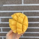 달푸르츠 이미지