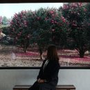 애월포레스트엠 네이버블로그