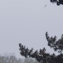 갱변 노래방 네이버블로그